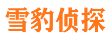 四川市场调查